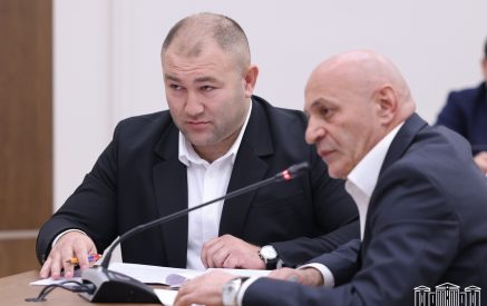 «Արցախցիների քաղաքացիության ստացումը 8, 9, 10 ամիս է տեւում, մարդիկ ծանր իրավիճակում են»․ Անաստաս Իսրայելյան