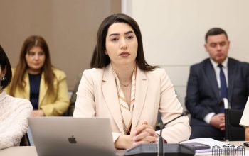 «Ընտանեկան բռնության դեմ պայքարը չի կարող սահմանափակվել միայն տուժածների պաշտպանությամբ». Արփինե Սարգսյան