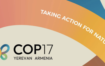 COP17-ը մերժել է «Արցախ» միությանը. Արտակ Բեգլարյան