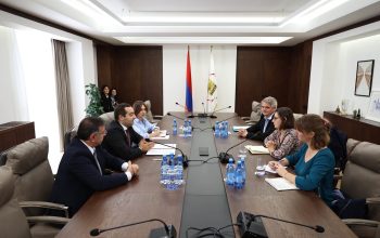 Քննարկվել է Երևանի և Լիոնի միջև հարաբերությունների հետագա զարգացումը