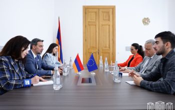 Եվրոպական ինտեգրման գործընթացը որակելով որպես առաջնահերթություն Արամ Վարդևանյանն ընդգծել է, որ հայ հասարակությունը կարևորում է եվրոպական արժեքները