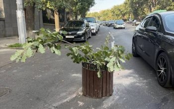 Գուցե սեփական աշխատավարձերը բարձրացնելուց առաջ մի փոքր էլ քաղաքո՞վ զբաղվեք. Մեսրոպ Մանուկյան